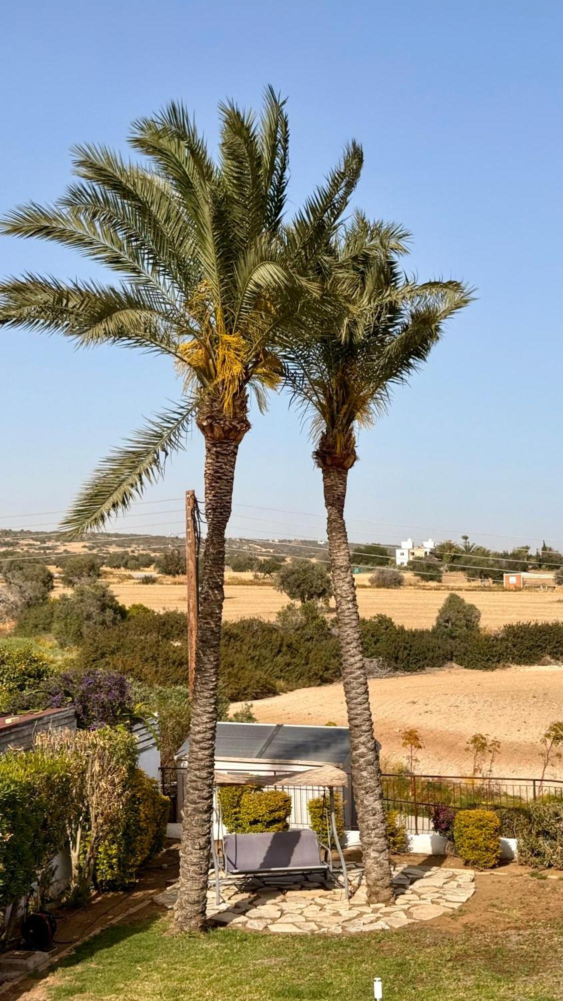 Villa Hera Agios Theodoros Exteriör bild